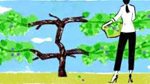 The business of sustainability