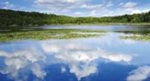 Charting our water future