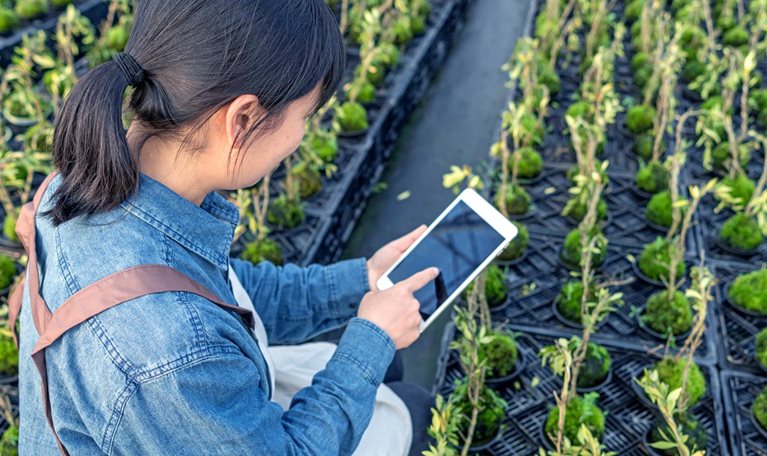 A female farmer is checking the seedlings with a tablet computer in the greenhouse warehouse - stock photo