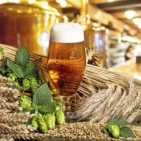 Sustainability and beer