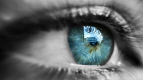 Time for insurance companies to face digital reality