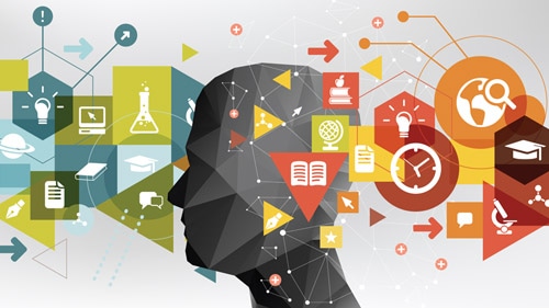 The expanding role of design in creating an end-to-end customer experience