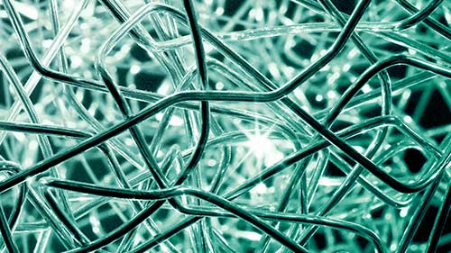 Untangling your organization's decision making