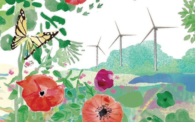 Getting the most out of your sustainability program