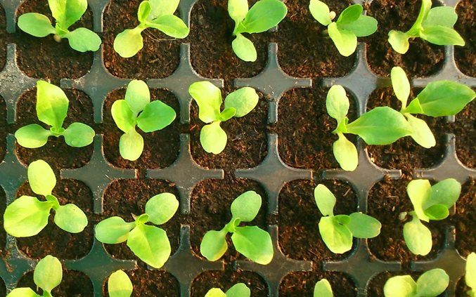 The key to growth in US life insurance: Focus on the customer