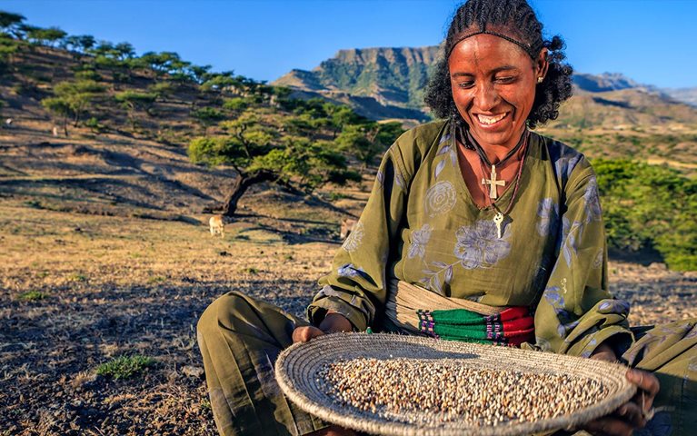 McKinsey co-founds effort to transform agriculture and food systems in Africa