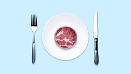 Overhead view of lab grown meat in a Petri dish served on a white plate on a light blue table.