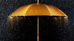 q16_web_id-future-insurance_1536x1536_Original