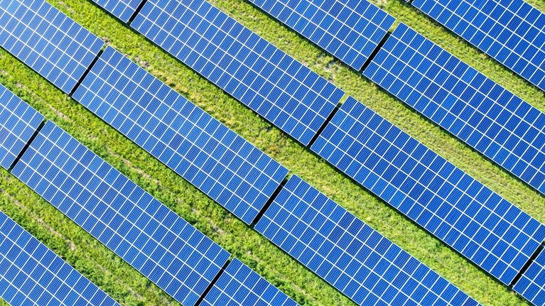 Rows of solar panels, with grass growing in between them.