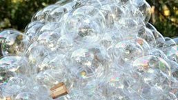 The tech bubble puzzle