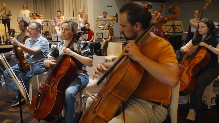 colleagues playing at orchestra