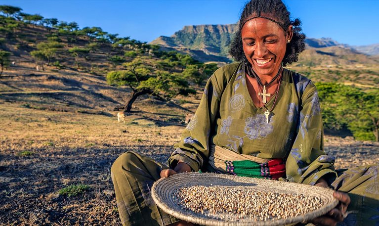 McKinsey co-founds effort with global partners to transform agriculture and food systems in Africa