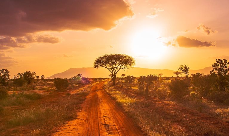 Scenic view of field against sky during sunset, Kenya - stock photo