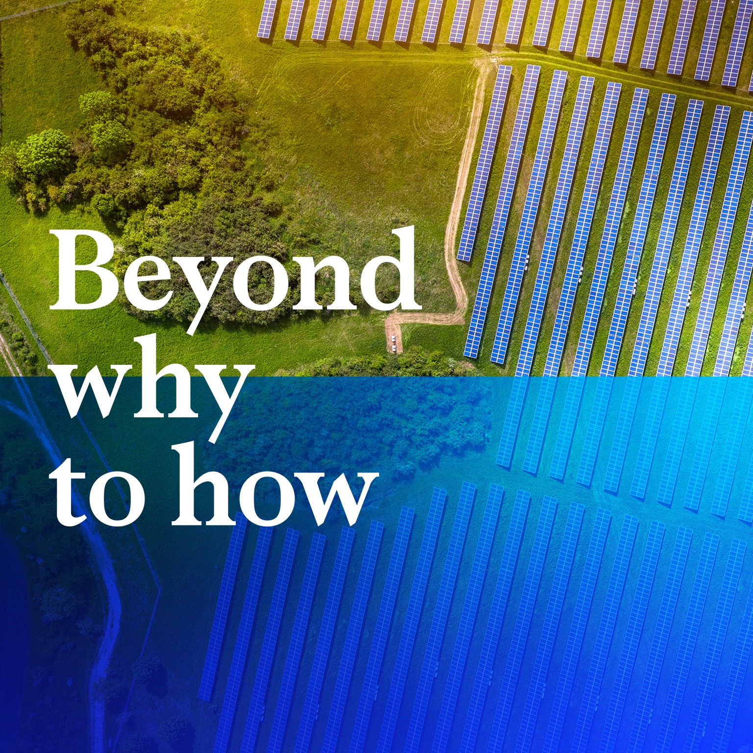 Move from plans to progress.