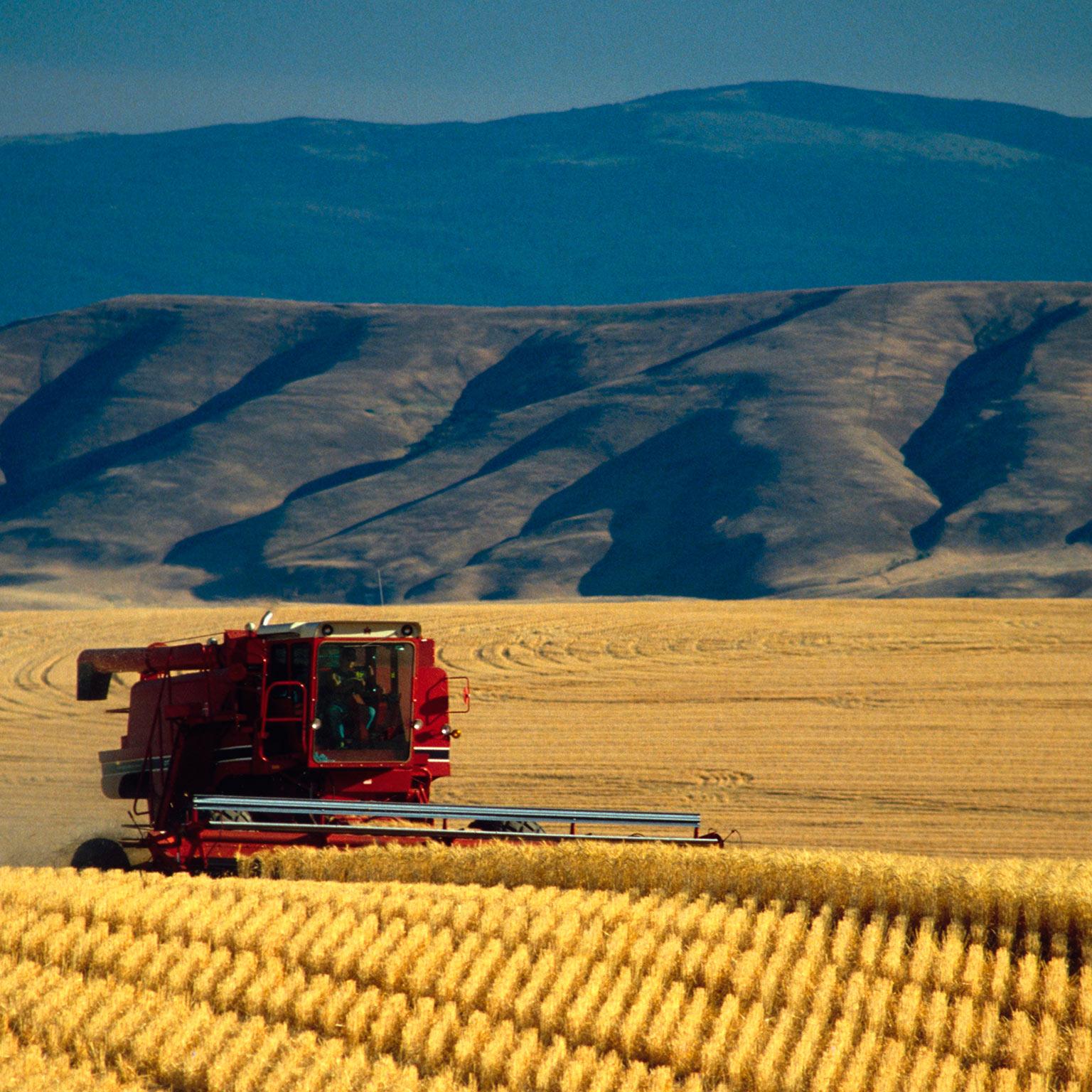 Q_Growth_1536x1536_Original