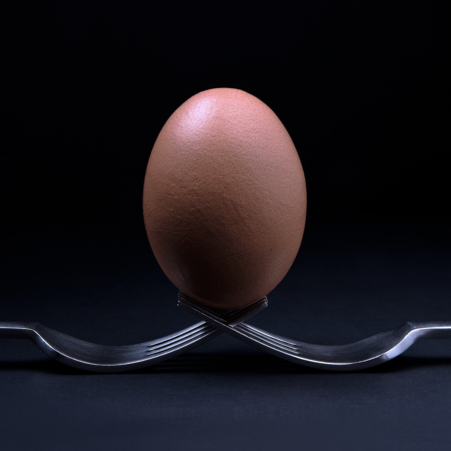 A brown egg balanced on two forks