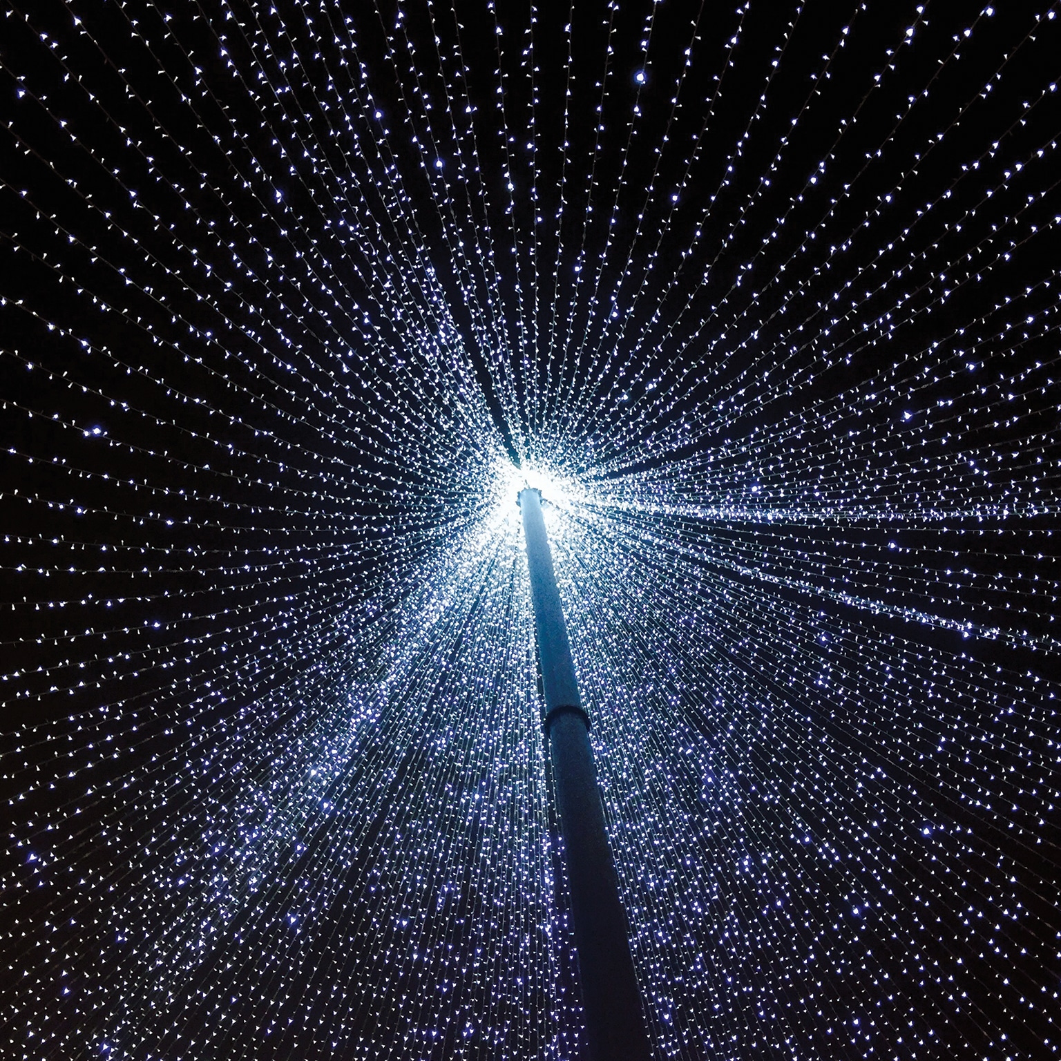 Predicción: El futuro de la experiencia del cliente