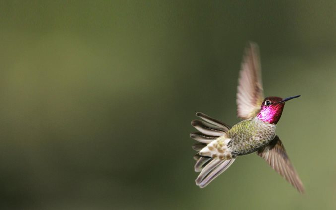 Agile marketing: A step-by-step guide