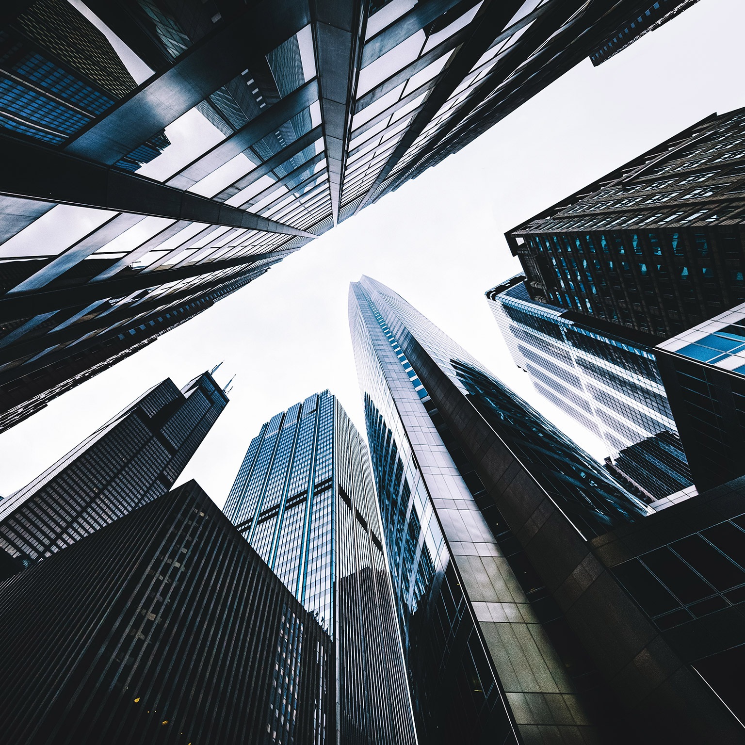 The sales secrets of high-growth companies