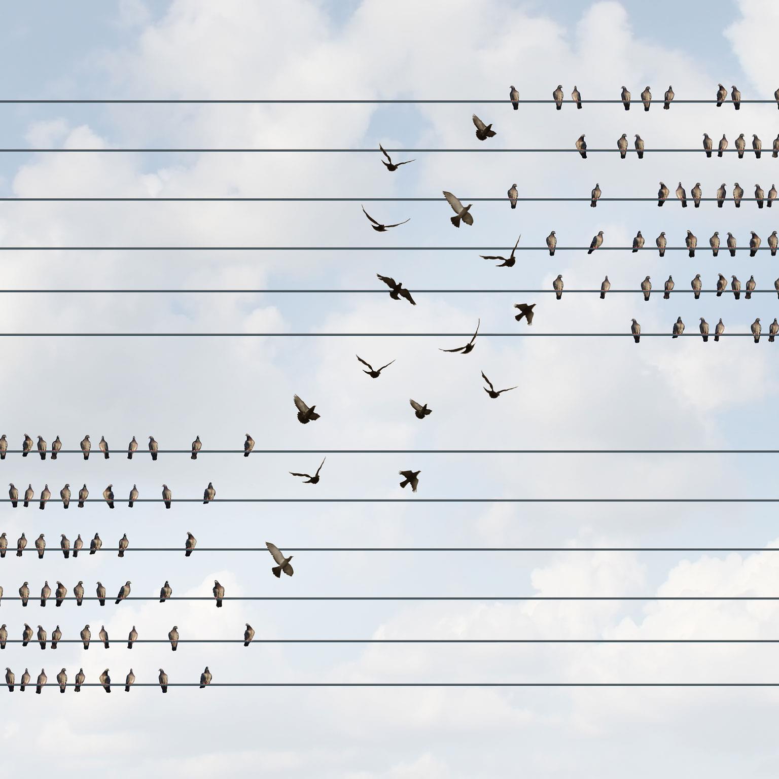 Transforming_operations-management_1536_1536_300_Standard