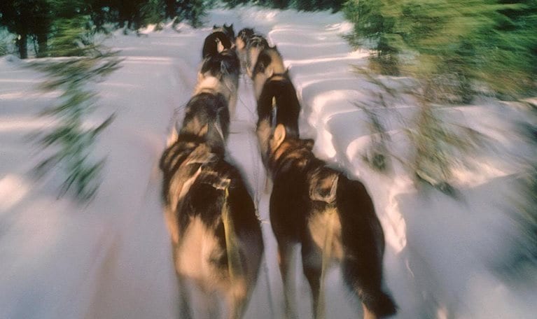 Power-of-collective-action-1536x1536-100 offset_Standard