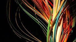 q15_web_agility-stability_510603223_1536x1536_Original