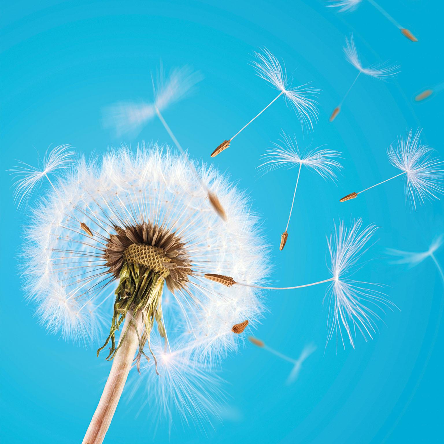 Divestitures How to invest_1536x1536_Original