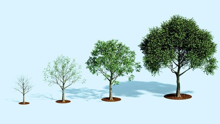 Digital generated image of vertical bar chart made out growing trees showing process of tree's growth