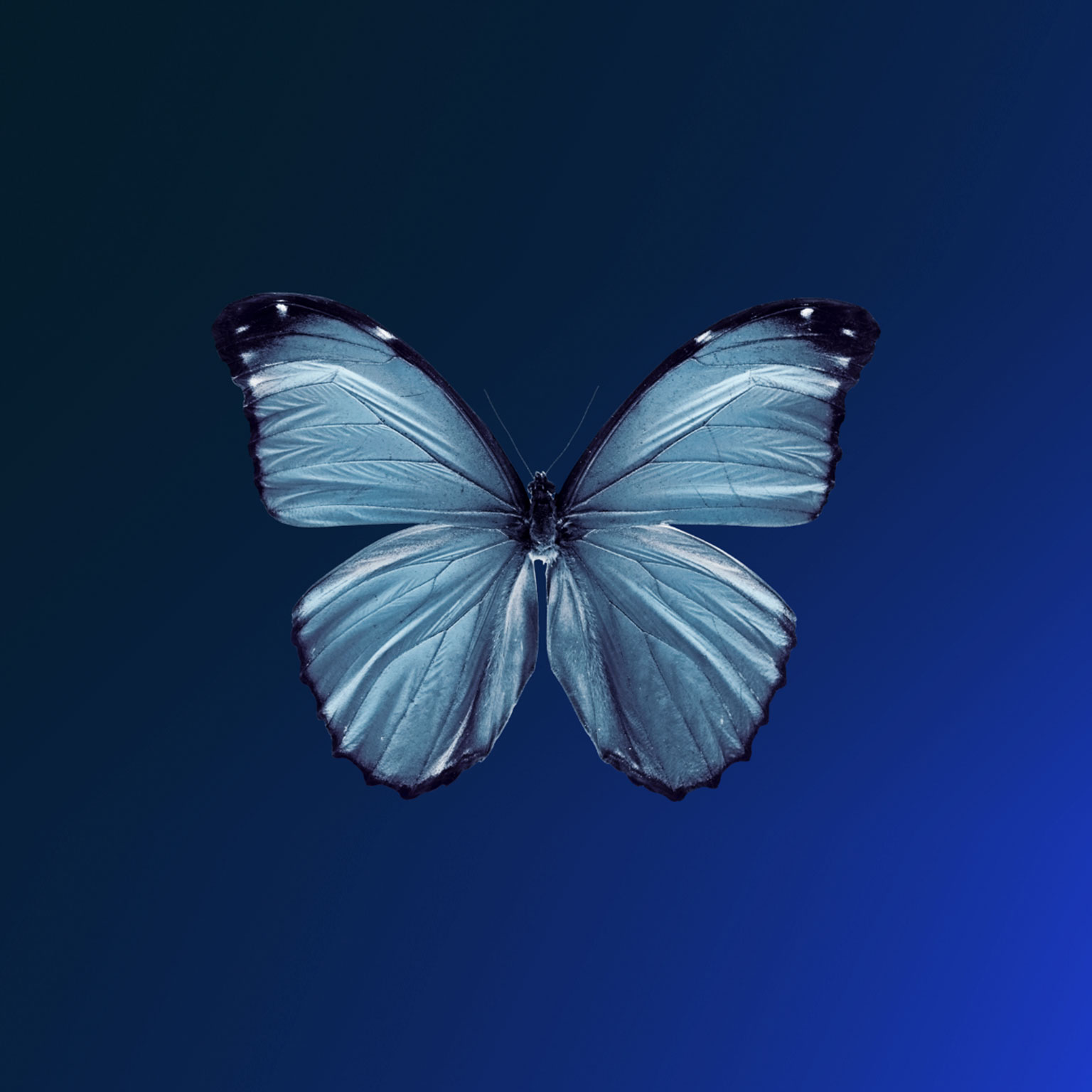 Innovate to net zero