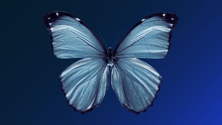 Innovate to net zero