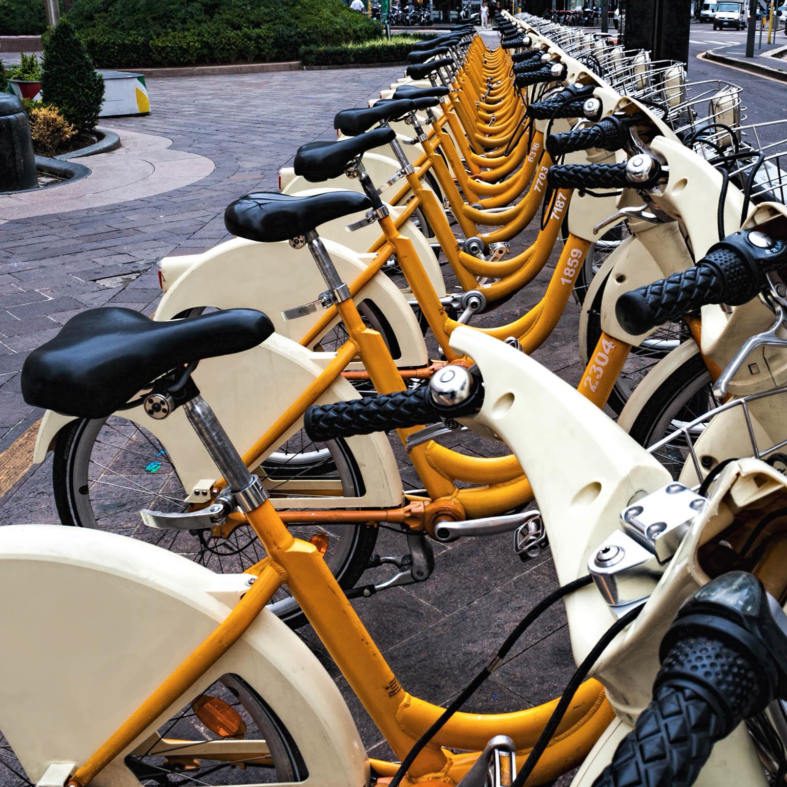 Rolling-along-1536x1536-100-offset_Standard