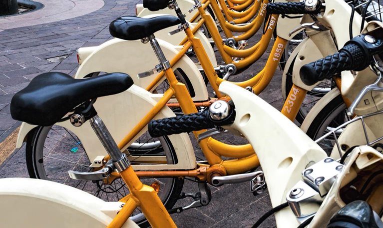 Rolling-along-1536x1536-100-offset_Standard