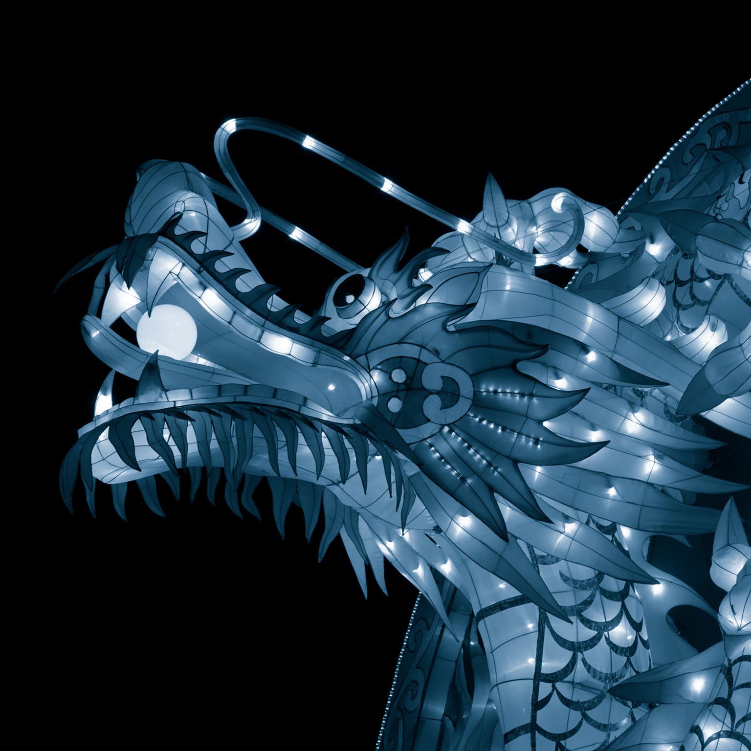 The CEO guide to  China’s future