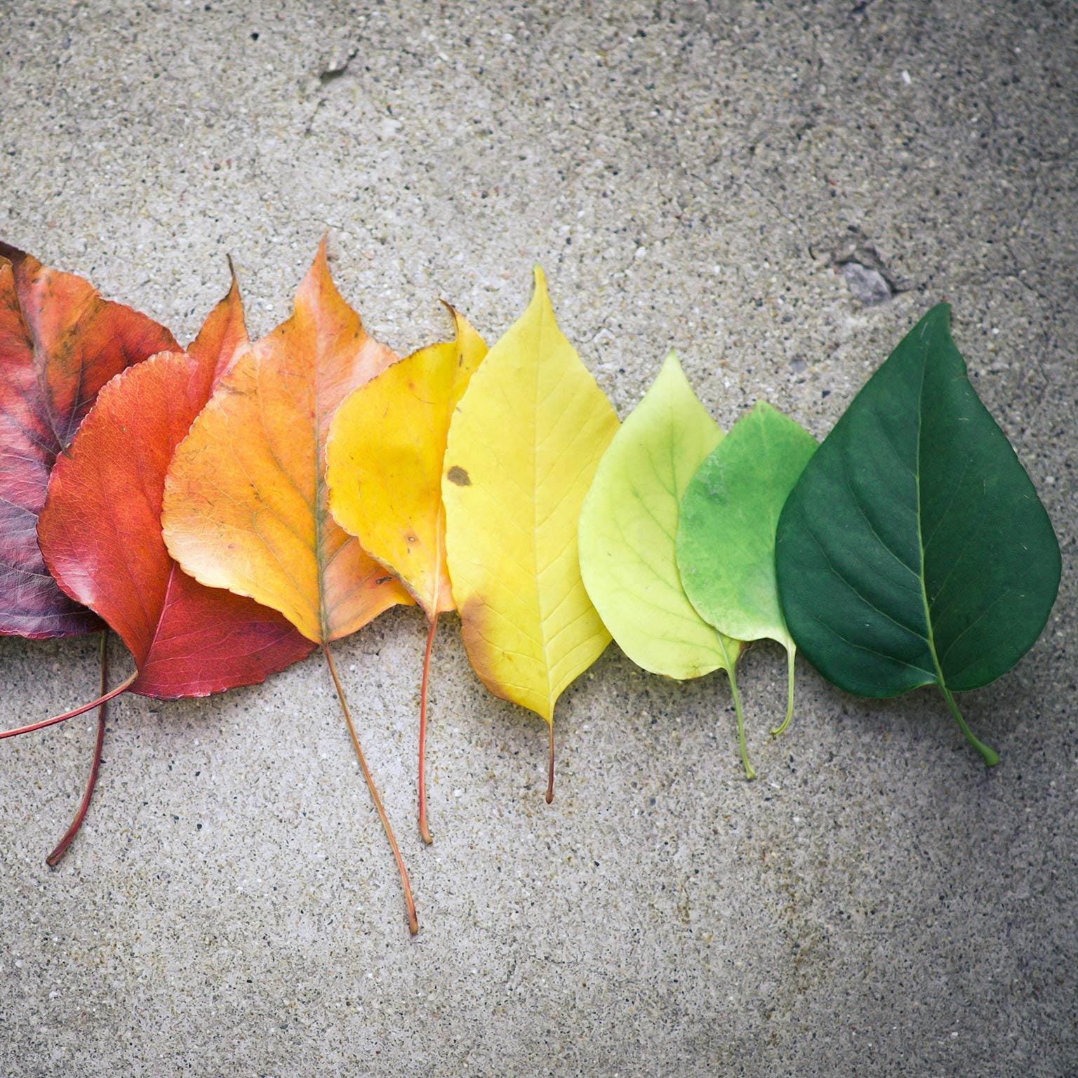 How_you_lead_1536x1536_Original