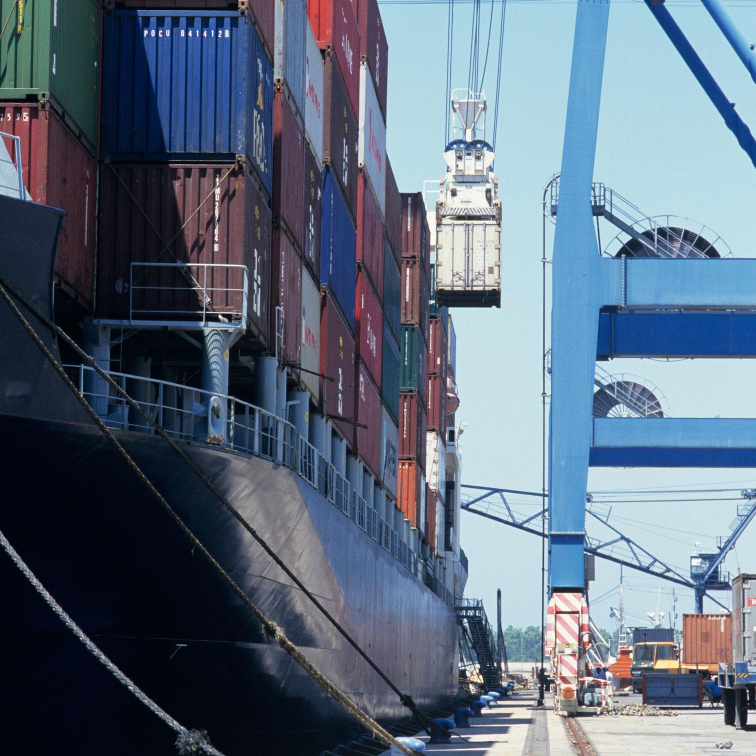 From liability to opportunity: How to build food security and nourish growth