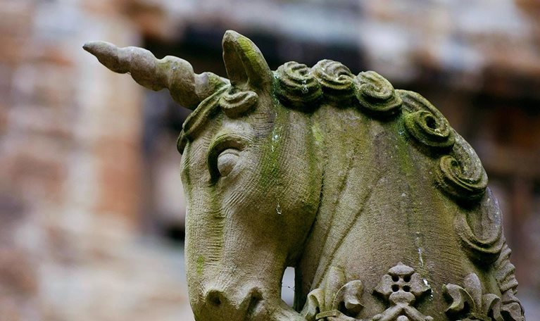 Unicorns-1536x1536_Standard