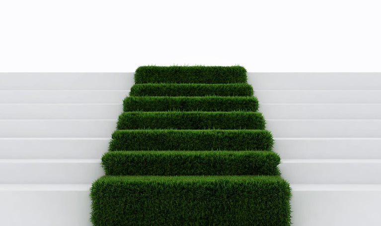 Emissões líquidas – o que é preciso para chegar lá?