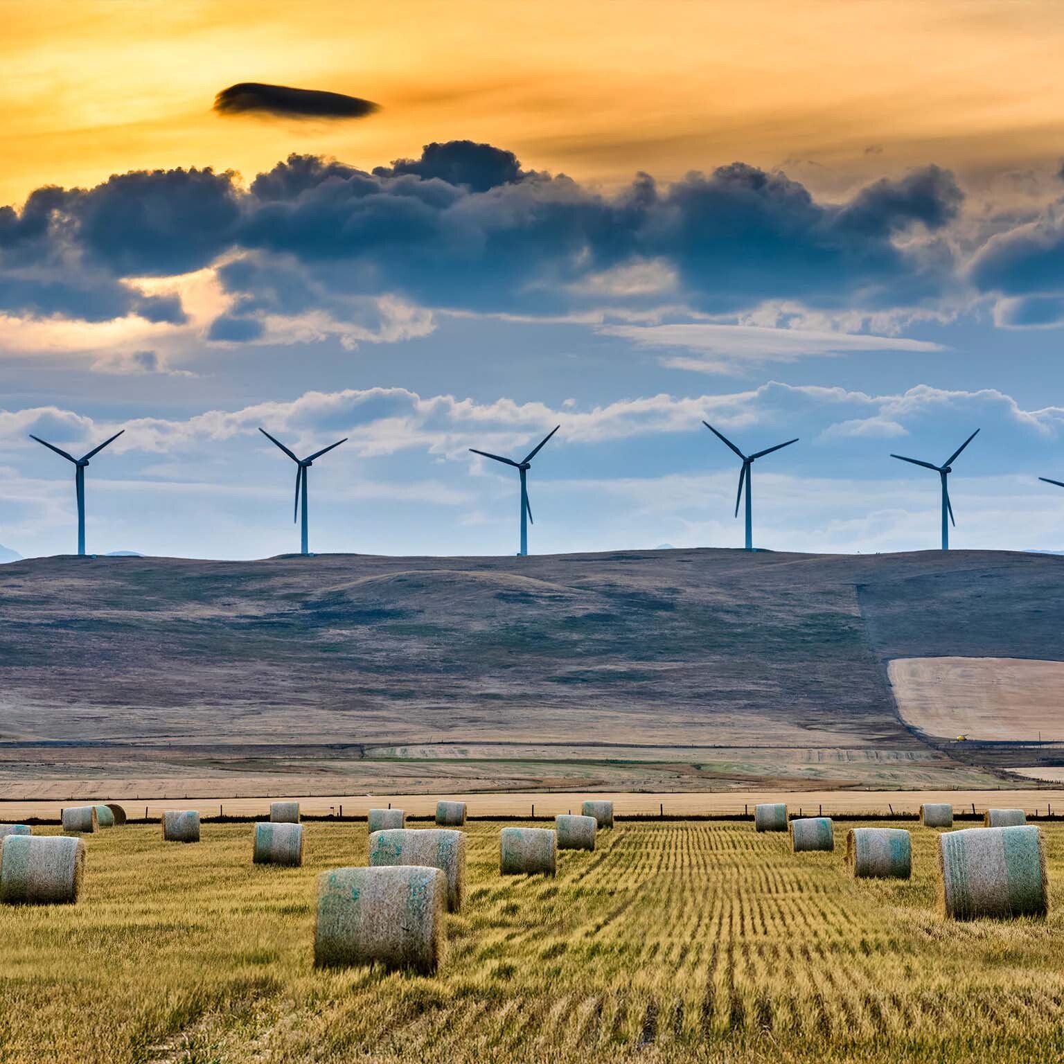 Supporting performance improvements at a Canadian utility company