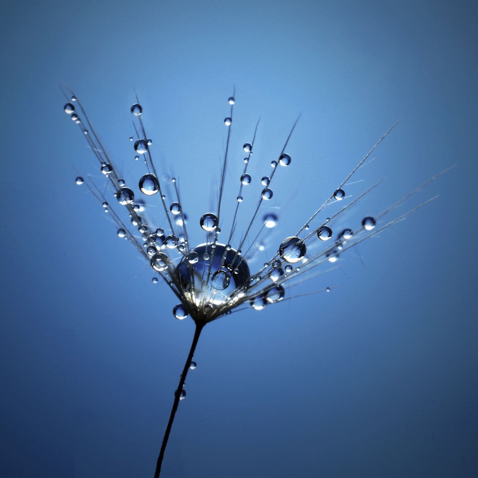 Your organization is grieving—here’s how you can help