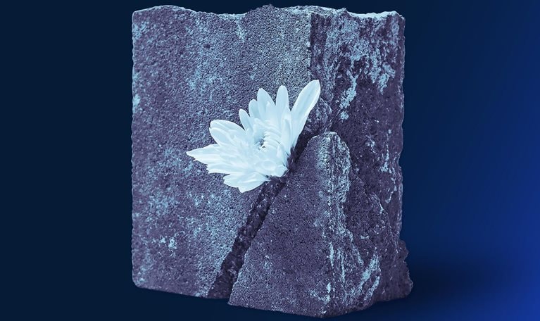 A single white flower growing out of a crack in a piece of concrete