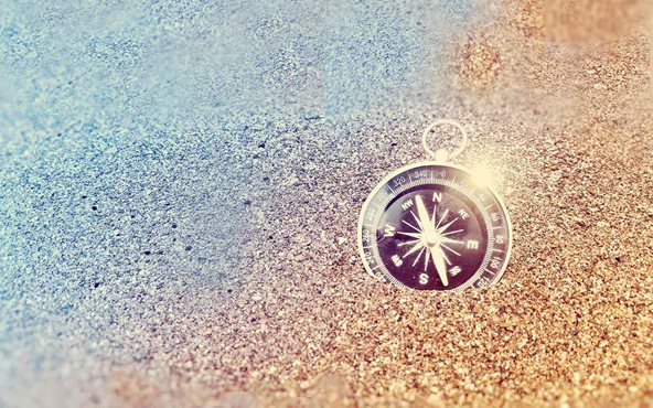 Navigating a world of disruption