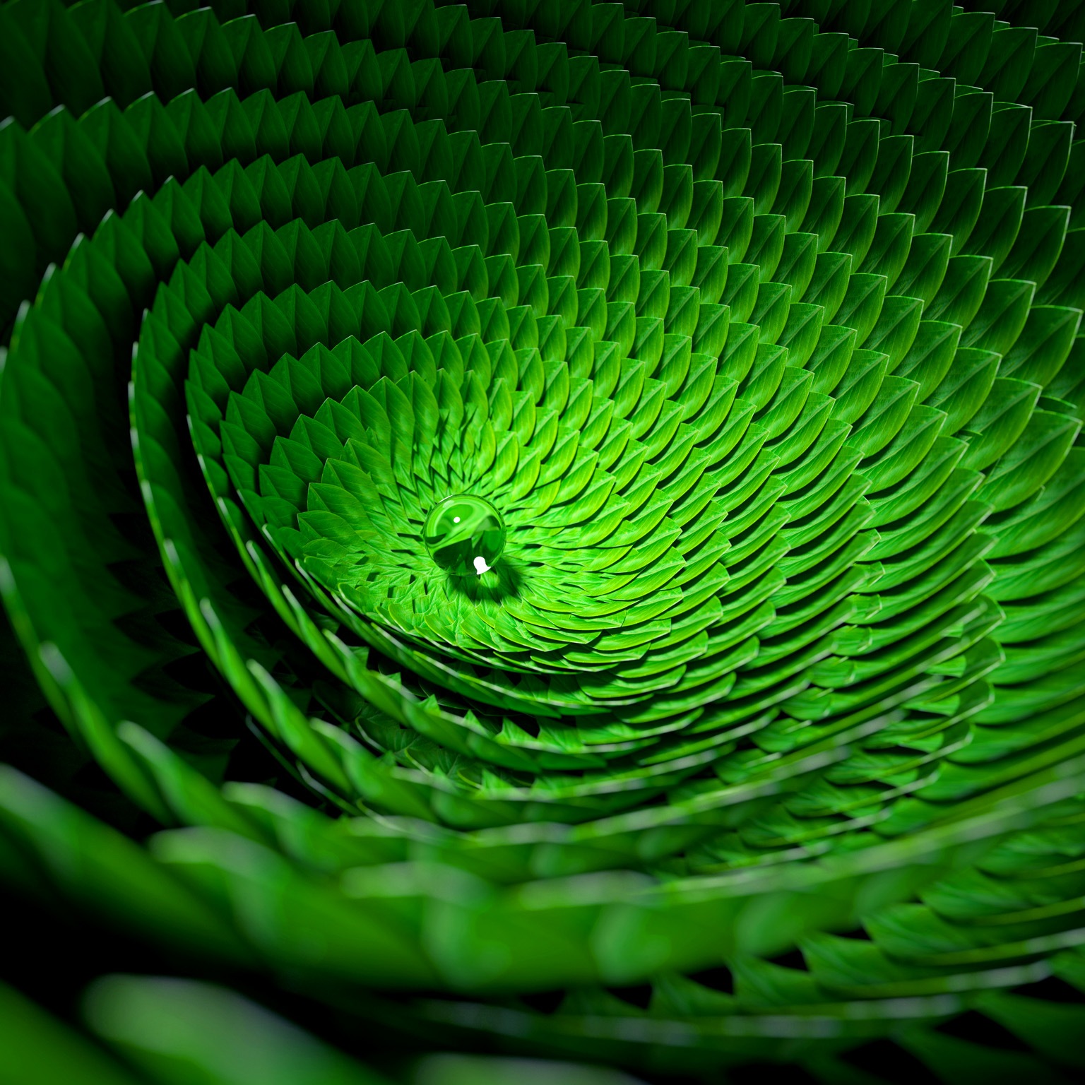 Organic circular pattern made out of green leaves with a dew drop at its center