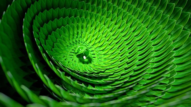 Organic circular pattern made out of green leaves with a dew drop at its center