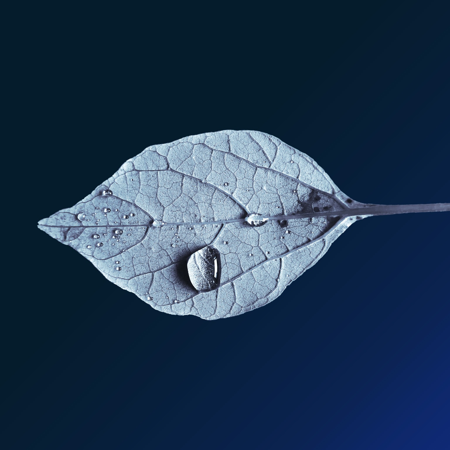 Addressing climate change in a post-pandemic world