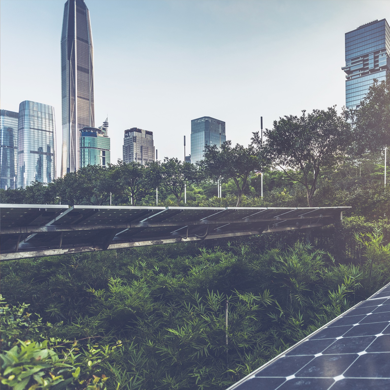 Leading the battle against climate change: Actions for China