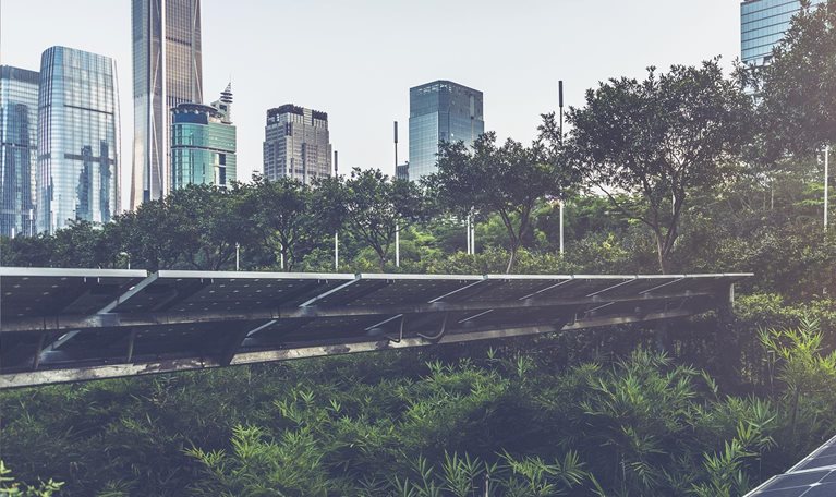 Leading the battle against climate change: Actions for China