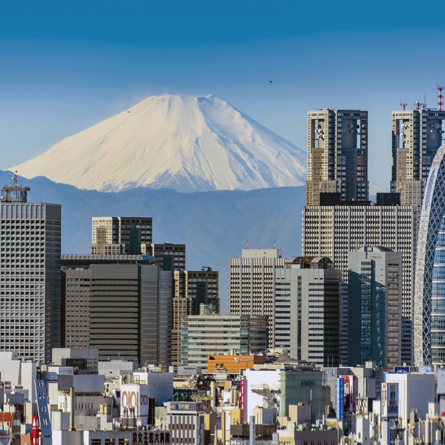 photo Bunkyo Civic Center observation lounge