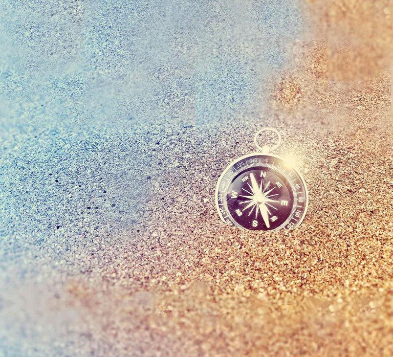 Navigating a world of disruption