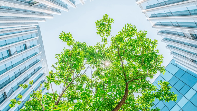 B2B growth is where it’s green