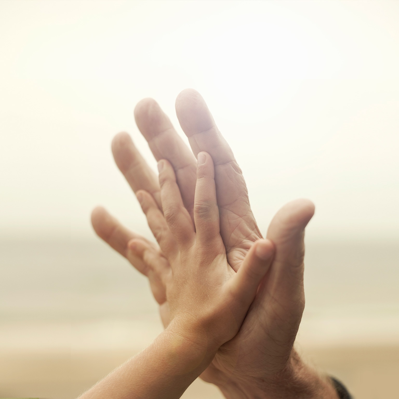 Digital Czech Republic: How we grow